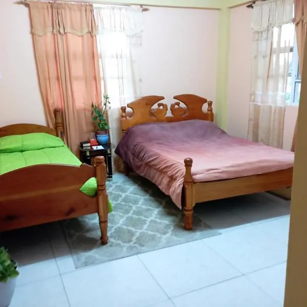 Daniel's comfort, hotel in Canefield Airport