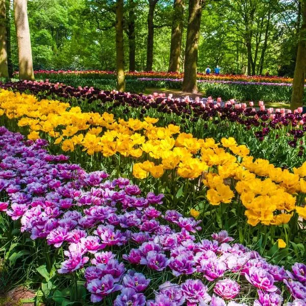 Holiday Inn - the niu, Dairy Haarlem, hotel a Haarlem