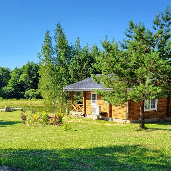 Pine Valley Villa - beautiful nature, jacuzzi, sauna, cozy log house, hotel in Inturkė
