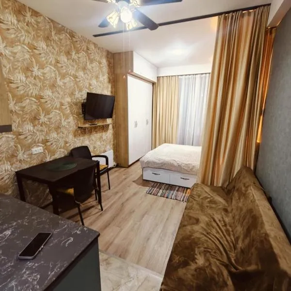 Studio apartment in Bakuriani, hotel in Bakuriani
