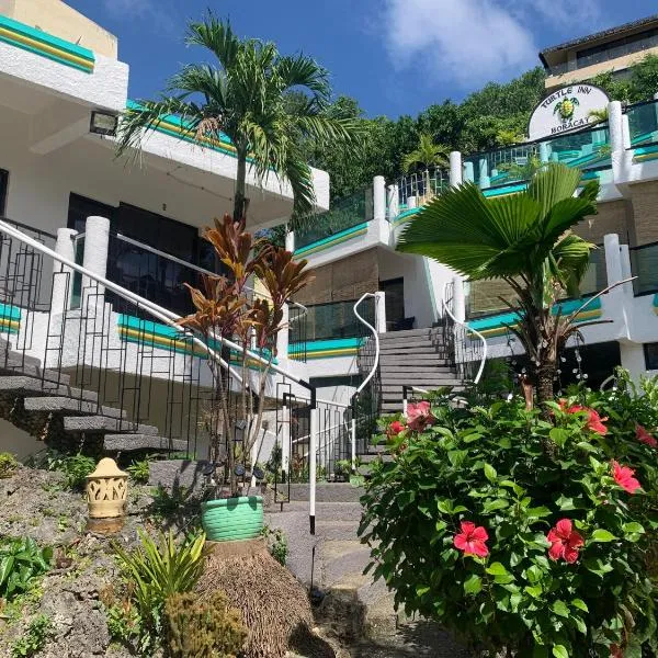Turtle Inn Resort, hotell Boracays