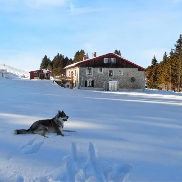Maison isolée et calme à Septmoncel avec vue sur montagne, hôtel à Septmoncel