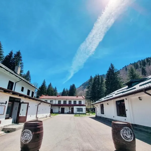 Pensiunea Rhein, hotel in Azuga