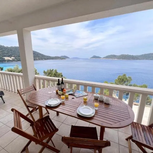 Terrace apartment with panoramic seaview, hotel in Ubli
