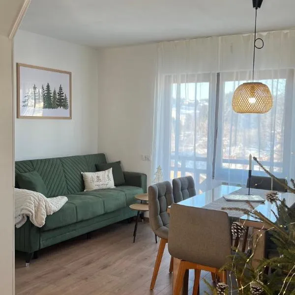 Apartmani Kiki 2，位于帕莱的酒店