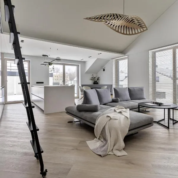 Penthouse in Old Vilnius, hotel in Vilnius