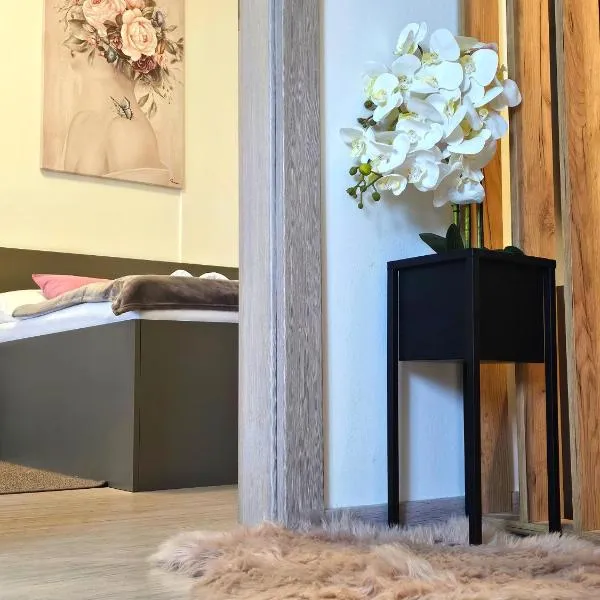 Apartman Iris, hotel v destinaci Karlovac