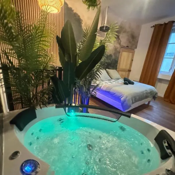 L'Oasis Angevine - Balneo, Sauna, Home Cinema & Parking, hotel in Angers