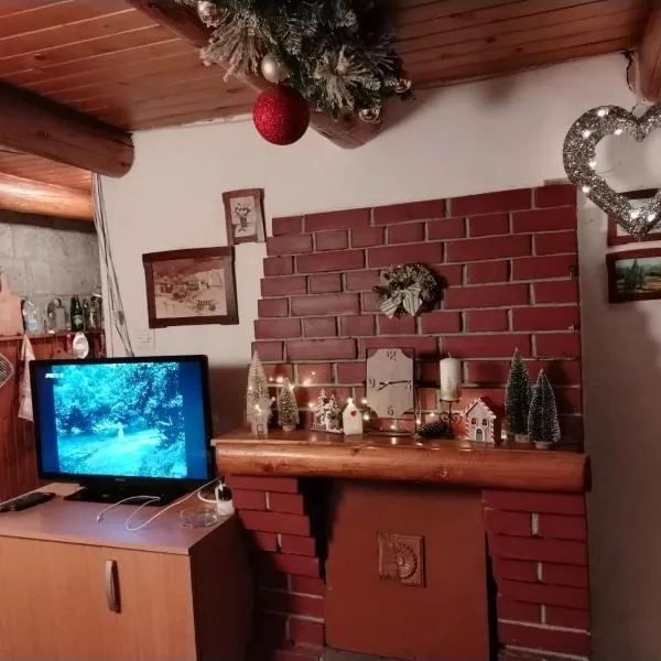 Vila Lara, Hotel in Kopaonik