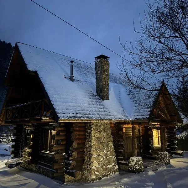 Guest House, hotel in Synevyrsʼka Polyana