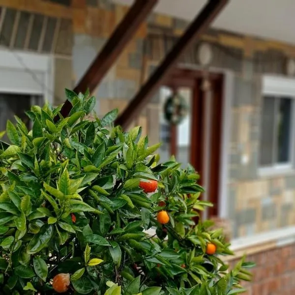 CitrusNest, hotel v destinaci Berat