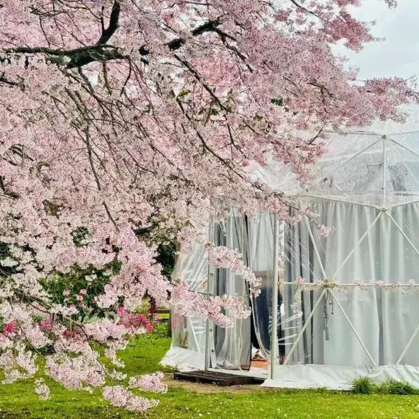 Flowerhaven - glamping dome、ハミルトンのホテル