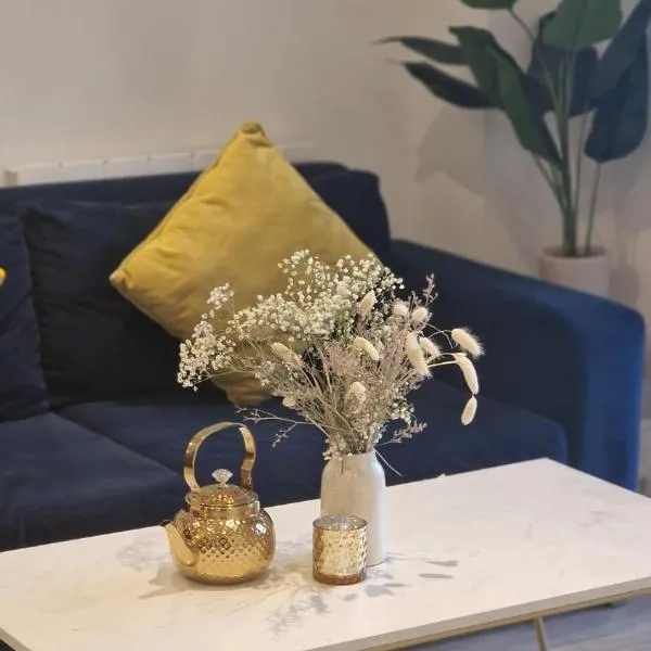 2 Bed Luxury City Centre Flat，位于伯明翰的酒店