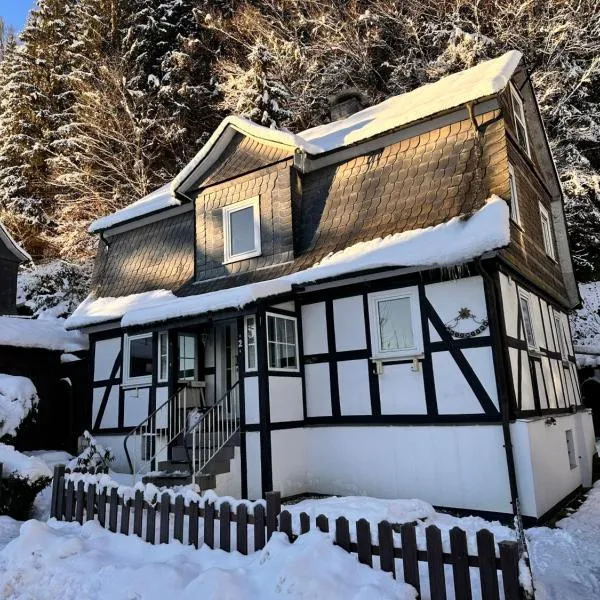 Waldtraum Lodge Winterberg für 10 Personen mit Garten und Grill, Hotel in Winterberg