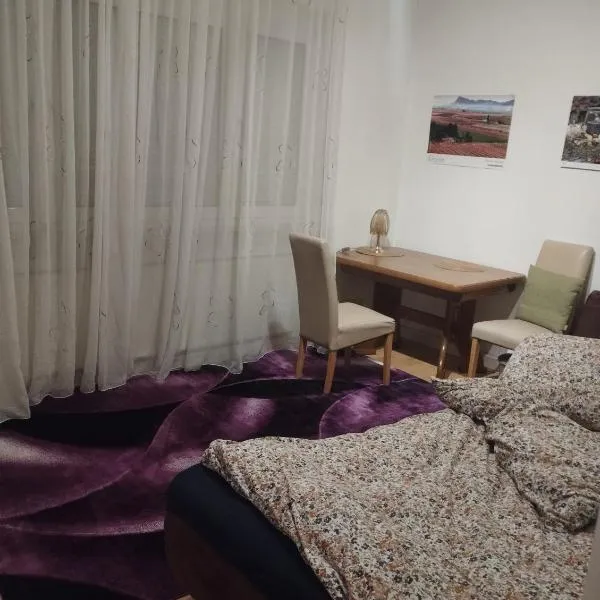 Big room for 2 pers, 9 min to trade fare, FREE parking, hotel a Francoforte sul Meno