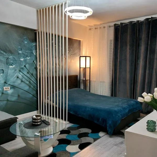 Blue Studio, hotel v destinaci Tulcea