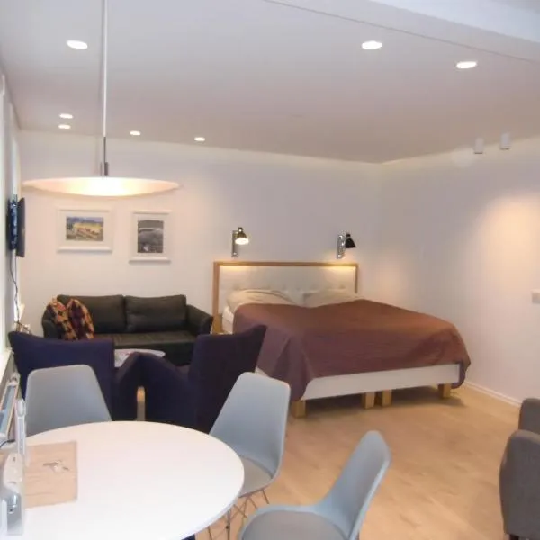 Next Apartment Bergstadastræti, hotel in Reykjavík