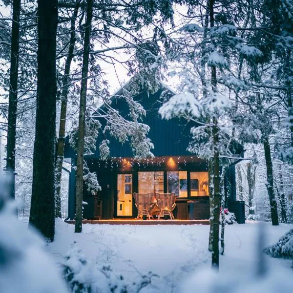 Cocodeno-'Virš Ąžuolų' - Forest SPA - FREE jacuzzi, hotel v destinaci Paplatelė