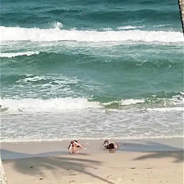 SEA VIEW BEDs บ้านบอส หาดทุ่งวัวแล่น ชุมพร, hotel em Ban Phru Ching (1)