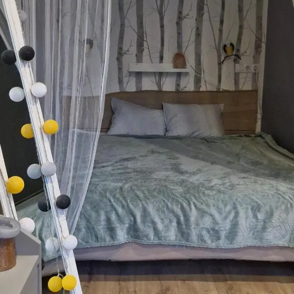 Yu&Yu loft apartment, hotel in Rīga