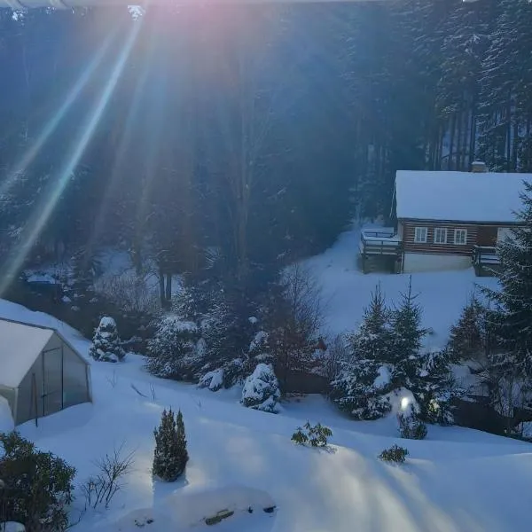 Apartmán Ina,Josefův Důl 356, hotel en Jablonec nad Nisou