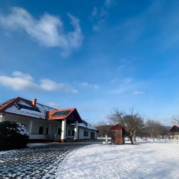 Csonkás Kúria Vendégház Zemplén, ξενοδοχείο σε Mogyoróska