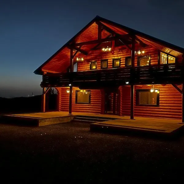 Domi Chalet，位于Şişeşti的酒店