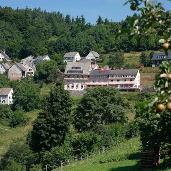 Hôtel Restaurant Roess, готель у місті Hohrod