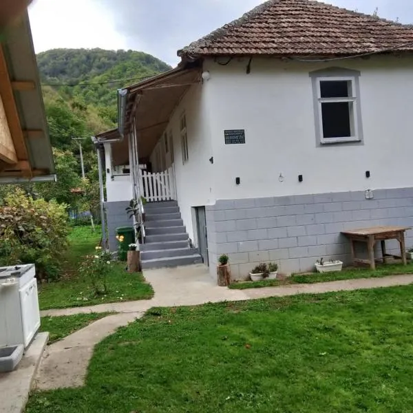 Seosko turisticko domacinstvo Milanovic, hotel en Žuč