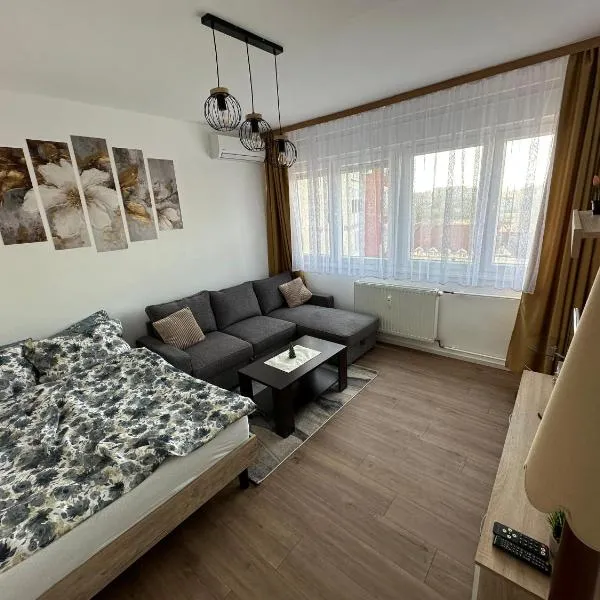 Studio apartman Barbara, hotel in Virovitica