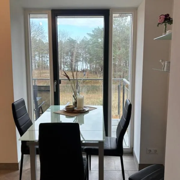 Haubentaucher mit Meerblick, hotel i Binz