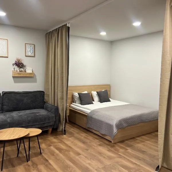 Naujoji Akmene Center Apartment, hotel in Naujoji Akmenė