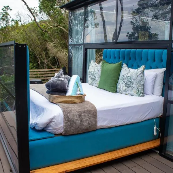 The Stargazing Cube - Misty Mountain Reserve, hotel in Stormsrivier