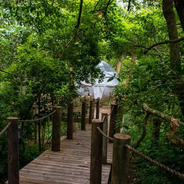 The Cacoon Tsitsikamma, hotel in Stormsriviermond