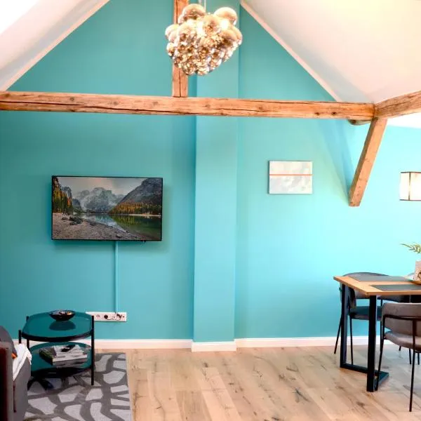 MSF Apartment Tuerkiser Wolf, hotel in Kassel