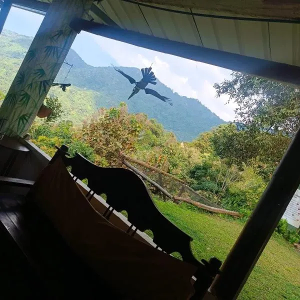 Dunarinka, Hotel in Minca