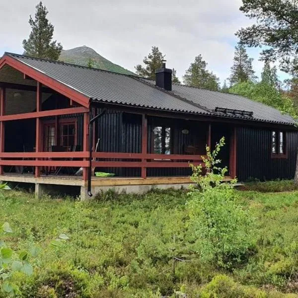 Sauna | Wi-Fi | Terrace | Wood stove | No Pets, хотел в Лофсдален
