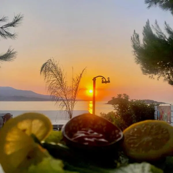 Hotel Villa Adrian，位于卡萨米尔的酒店