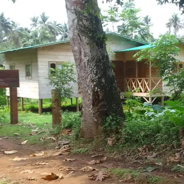 Big Mama's Little House Casa da Mãe Grande, hotell sihtkohas Porto Alegre