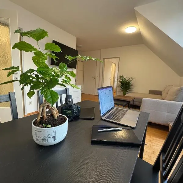 Top Floor Apartment near Palace Schönbrunn，位于维也纳的酒店