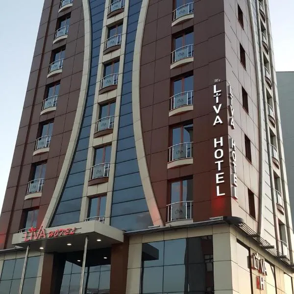 My Liva Hotel, hotel in Kayseri