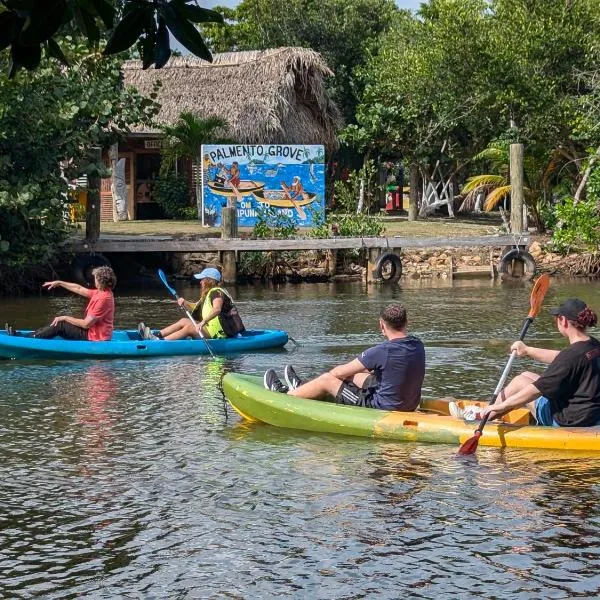 Palmento Grove Garifuna Eco-Cultural & Healing Institute, ξενοδοχείο σε Hopkins