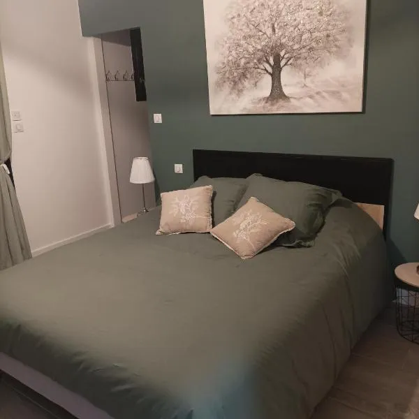 Villa de cammas, hotel a Montauban