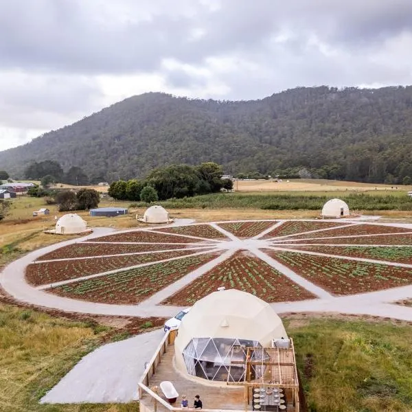 Mount Gnomon Farm, hotel in Penguin