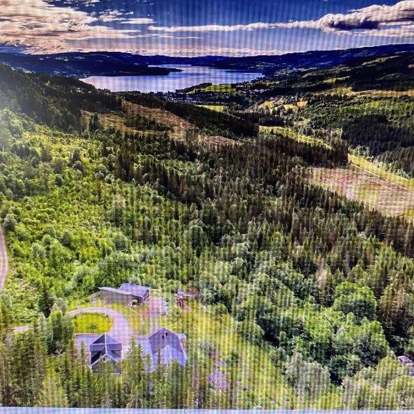 FrysiaHouse, Hotel in Lillehammer