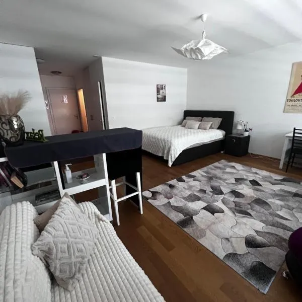 Apartments in Bern - Green Relax, hotel in Bern