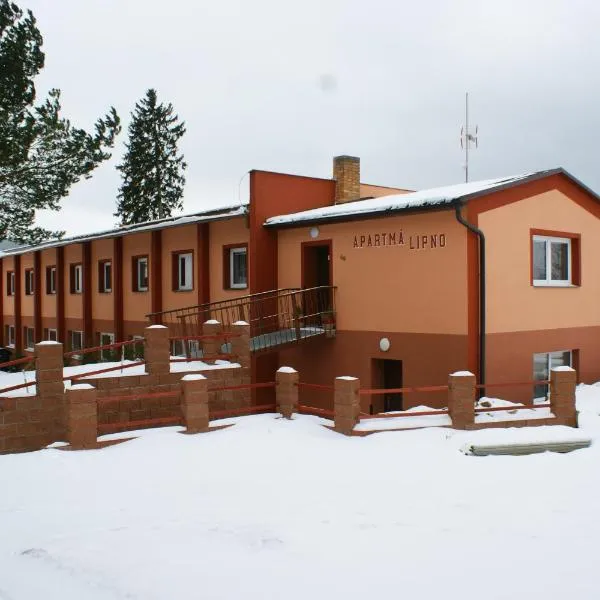 Apartmá Lipno, hotel in Horní Planá