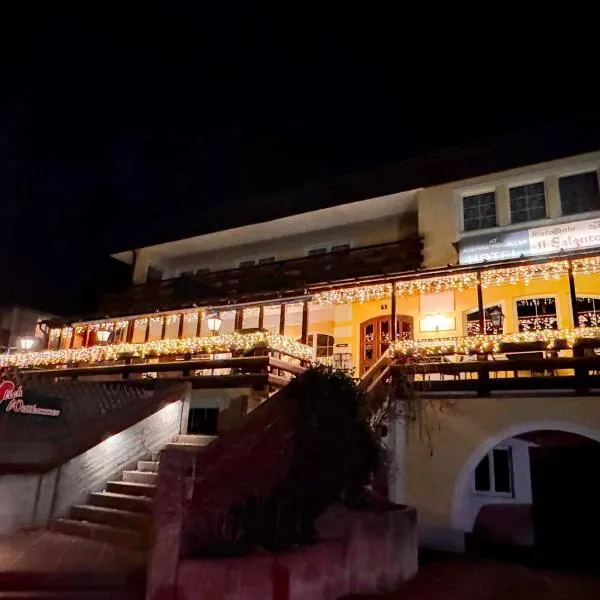 Austria Traveller Hotel Lenzing，位于Lenzing的酒店