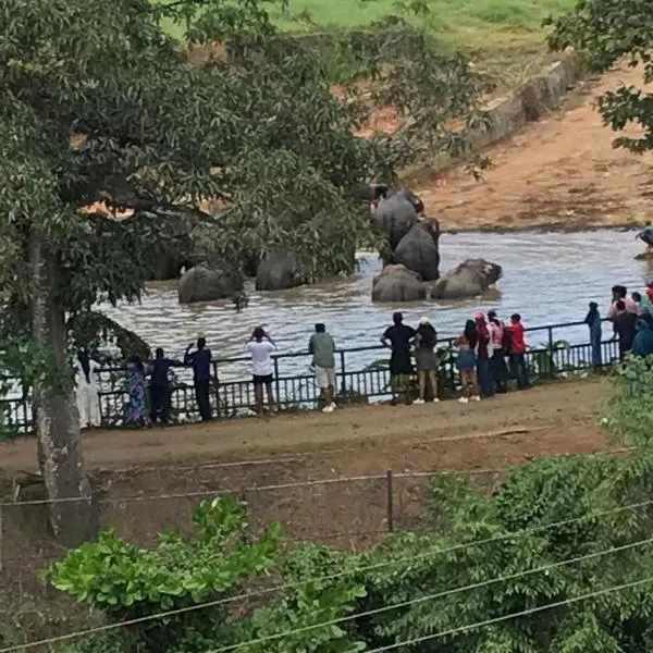 Pinnawala Elephant Front View Hotel, ξενοδοχείο σε Rambukkana