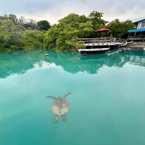 Casa Kubler, hotel in Puerto Ayora